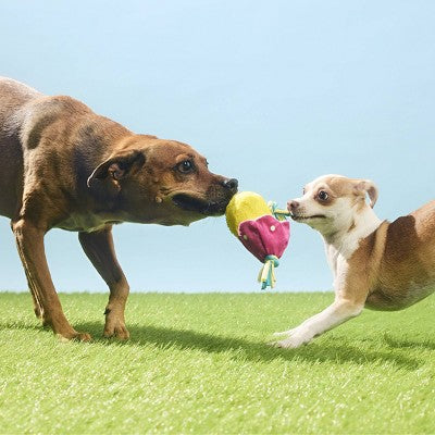 BARK Easter 2.75" Peep-a-Bird Dog Animal Rope Toy