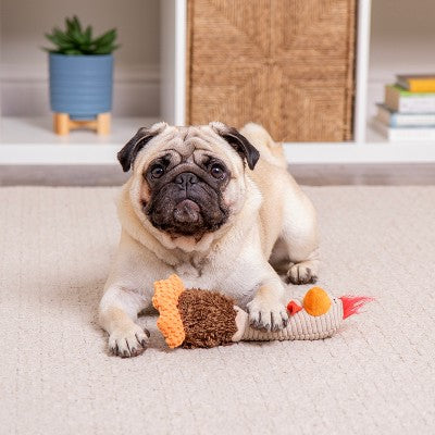 TrustyPup Long Neck Rowdy Rooster with Chew Guard Dog Toy