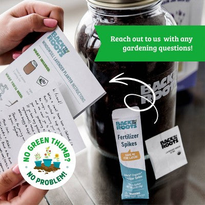 Back to the Roots Organic Strawberry Grow Kit