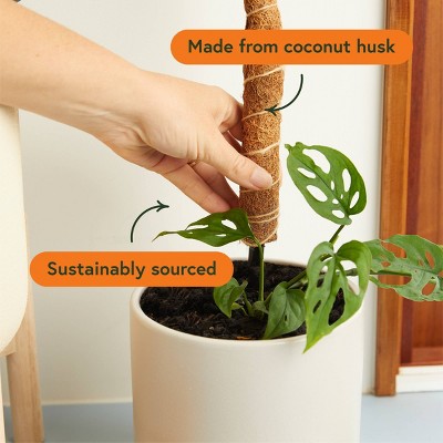 WE THE WILD Houseplant Sustainable Moss Pole Coco Climber Wood