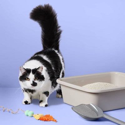 Fragrance Free Pail with Baking Soda Clumping Cat Litter - 35lbs - up&up (LOCAL PICKUP ONLY)
