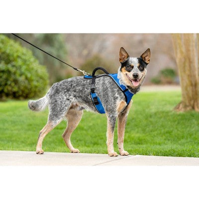 PetSafe EasySport Adjustable Dog Harness - M - Blue