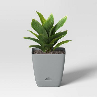 Square Self-Watering Plastic Indoor Outdoor Planter Pot Gray 6"x6" - Room Essentials
