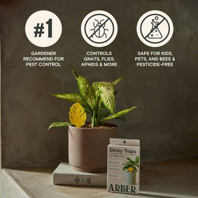 Arber 16pk Houseplant Sticky Insect Traps