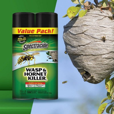Spectracide 2pk Wasp and Hornet Insecticide - 2ct/18.5oz each